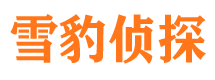 望江市侦探调查公司